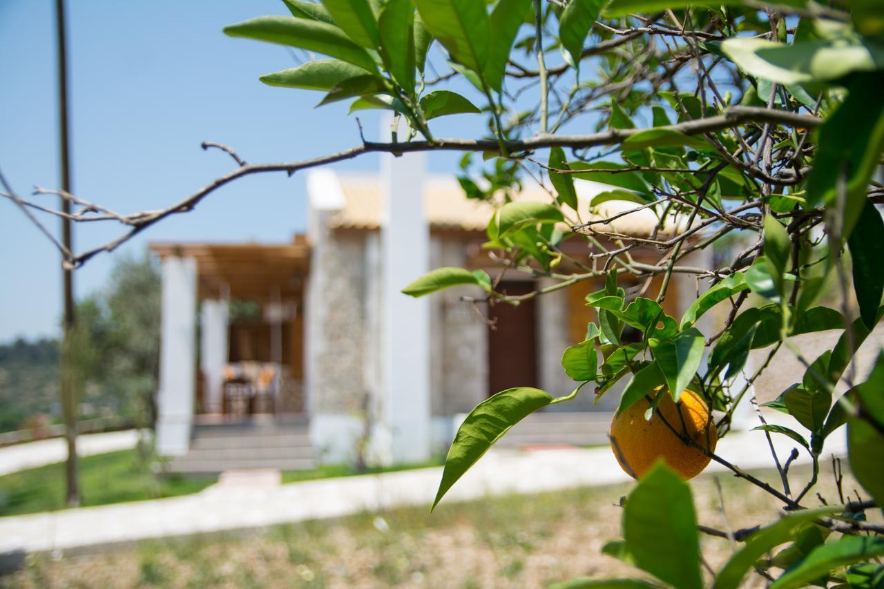 To Stolidi Tis Psinthou Villa Pszínthosz Kültér fotó